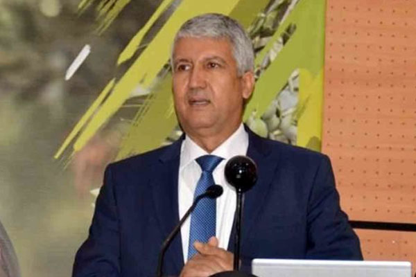 وزارة الفلاحة ترصد 198 مليون درهم إضافية لتوريد الماشية .