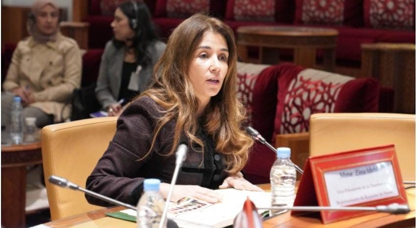 كلمة السيدة النائبة زينة إدحلي نائبة رئيس مجلس النواب في اللقاء التفاعلي لمناهضة العنف ضد النساء