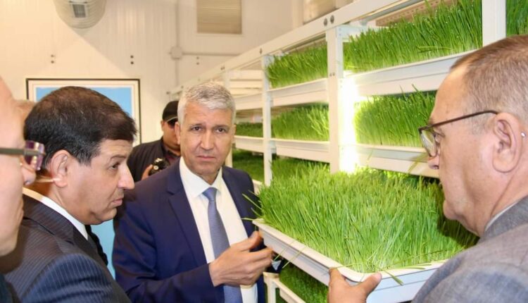 وزير الفلاحة يدشن مشاريع للتنمية الفلاحية والقروية بإقليم جرادة