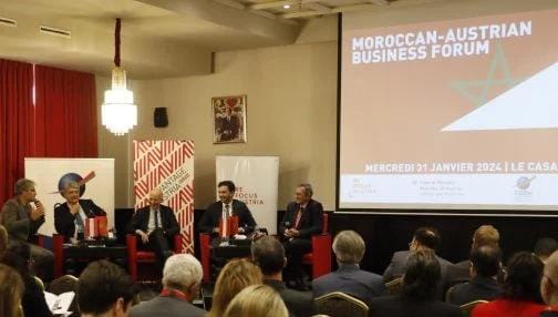 المغرب-النمسا.. نحو تعزيز التعاون في قطاع الطاقة يجمع بين البلدين علاقات اقتصادية وسياسية قوية