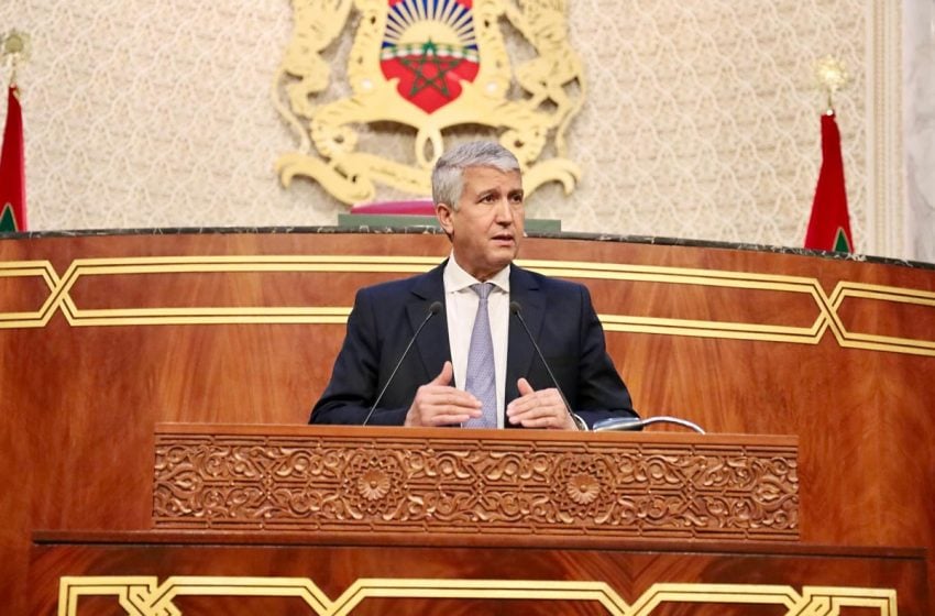 صديقي : عدد رؤوس المواشي المعدة للذبح خلال عيد الأضحى المقبل يبلغ 3 ملايين رأس