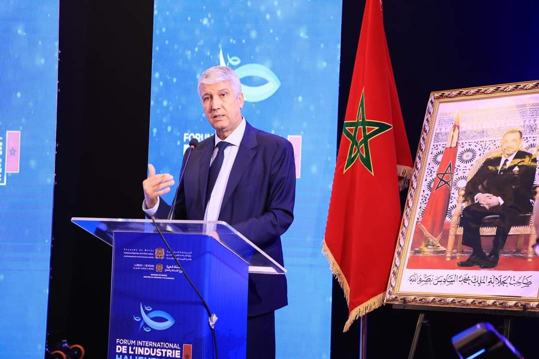 الوزير صديقي .. قطاع الصيد البحري يشكل العمود الفقري لتنمية الاقتصاد الأزرق الوطني