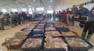 وزارة الصيد البحري تؤجل إنطلاقة الموسم الصيفي لصيد الأخطبوط