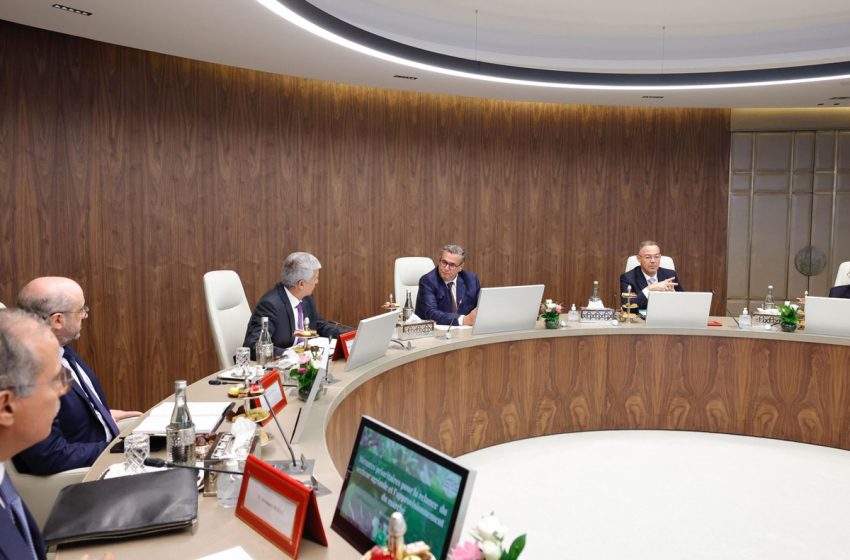  أخنوش يترأس اجتماعا مع المتدخلين في سلاسل الإنتاج الفلاحية لإنعاش القطاع الفلاحي وضمان تموين الأسواق