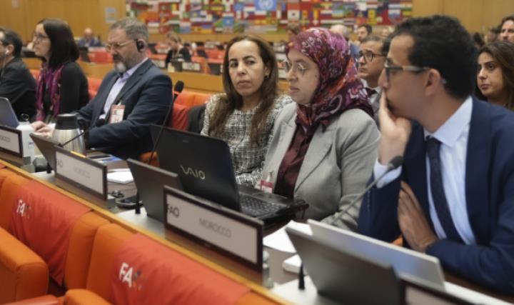 روما.. المغرب يترأس اللجنة العلمية الاستشارية للهيئة العامة لمصايد أسماك البحر الأبيض المتوسط ويتوج بجائزة المطابقة