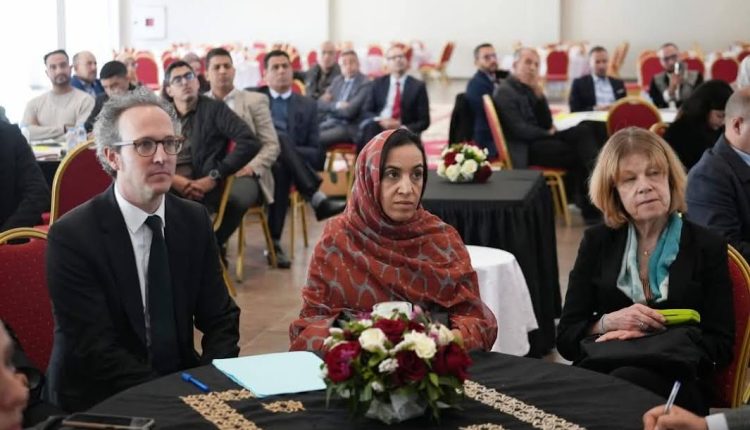 جهة كلميم وادنون تنضم إلى برنامج المدن الخضراء للبنك الأوروبي لإعادة الإعمار والتنمية