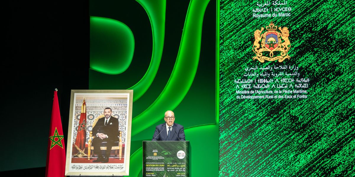 وزير الفلاحة يتوقع إنتاج ما يناهز 44 مليون قنطار من الحبوب