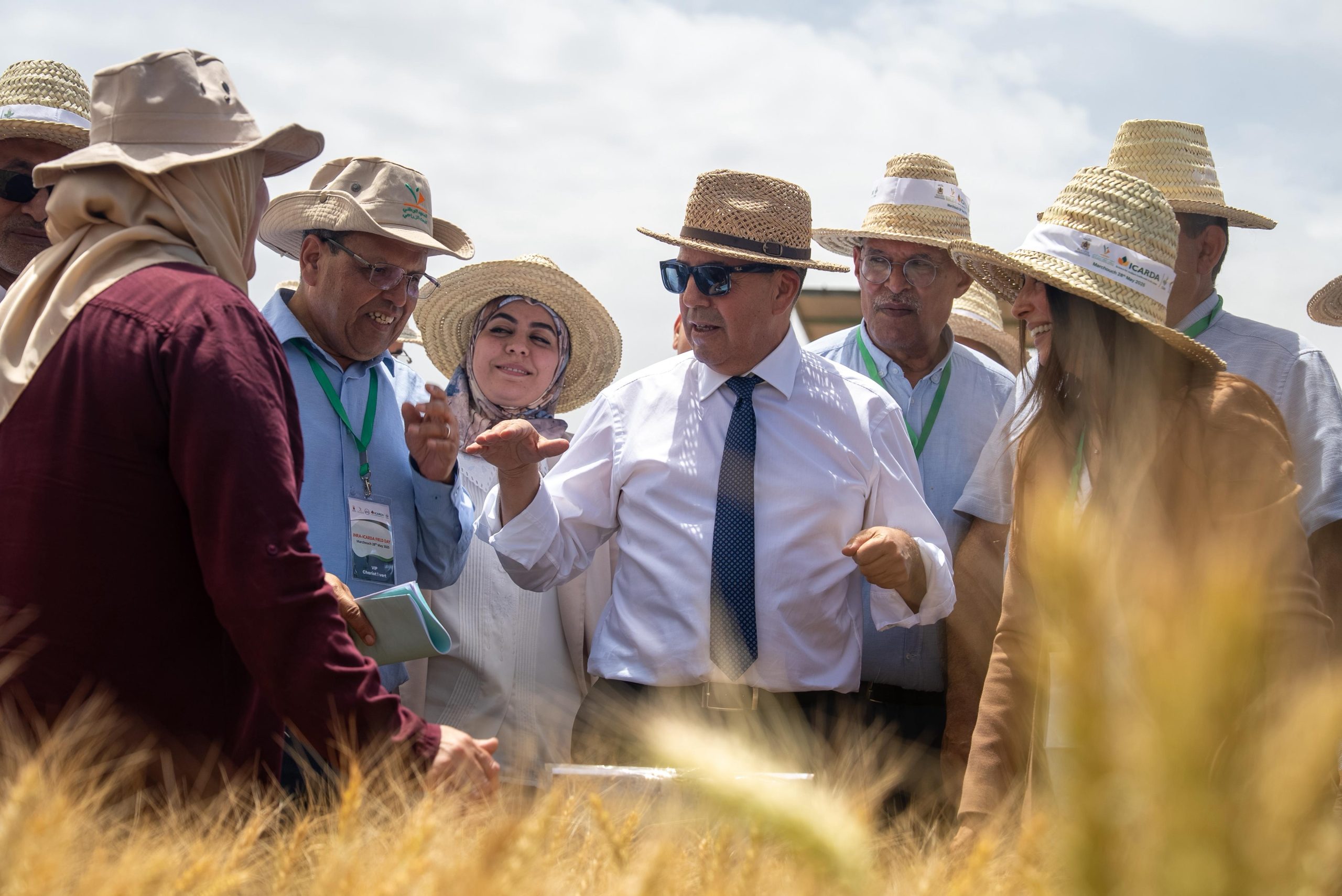 المعهد الوطني للبحث الزراعي والمركز الدولي للبحوث الزراعية في المناطق الجافة يعرضان آخر ابتكاراتهما الزراعية بمحطة التجارب مرشوش 