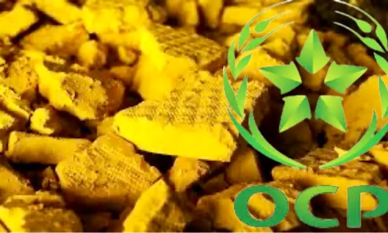 المغرب يدخل نادي منتجي “الكعكة الصفراء”: Uranext تطلق أول مصنع لليورانيوم في الجديدة باستثمار 100 مليون دولار