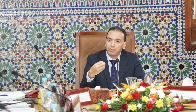 السعدي يعلن قرب اعتماد قانون يعيد هيكلة الإقتصاد التضامني بالمغرب