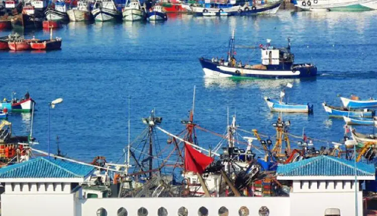 الصيد البحري .. تسويق 6.14 مليار درهم من المنتجات مع نهاية يوليوز الماضي