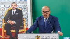 بـميزانية غير مسبوقة تفوق 12 مليار درهم.. برنامج جديد لدعم مربي الماشية بشكل مباشر