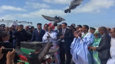 بوجدور تستعد لخمسينية المسيرة الخضراء المظفرة ،،، احتفالات خالدة ومشاريع تنموية هامة. 