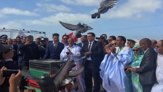 بوجدور تستعد لخمسينية المسيرة الخضراء المظفرة ،،، احتفالات خالدة ومشاريع تنموية هامة.