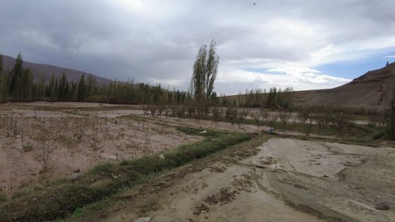 وزارة الفلاحة تباشر تقييم أضرار الفلاحين المؤمنين بتازة لصرف تعويضات الكوارث الطبيعية