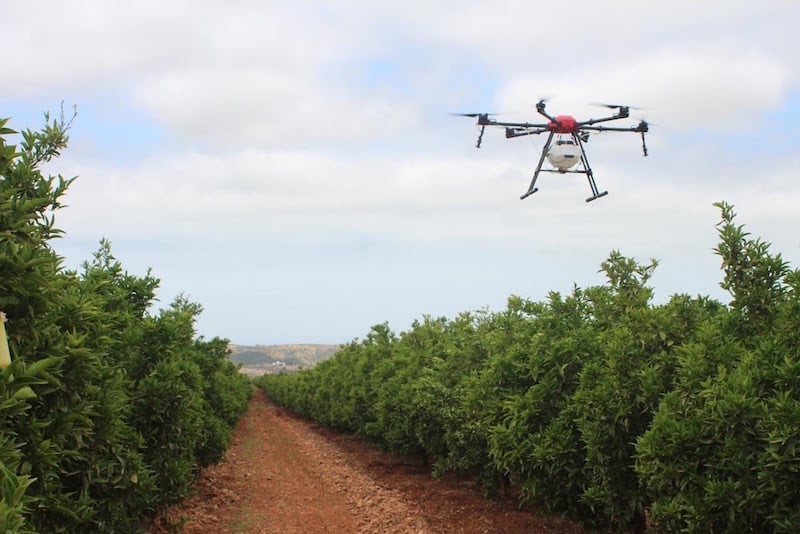 الذكاء الاصطناعي في الفلاحة المغربية يرفع الإنتاجية ويواجه التحديات