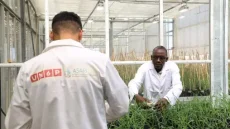 المعهد الإفريقي للأبحاث في الزراعة المستدامة بالعيون… قطب للابتكار في خدمة التنمية الخضراء