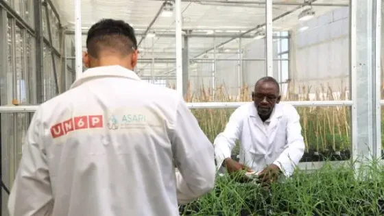 المعهد الإفريقي للأبحاث في الزراعة المستدامة بالعيون… قطب للابتكار في خدمة التنمية الخضراء