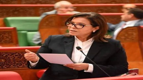 كتابة الدولة المكلفة بالصيد البحري تعلن عن راحة بيولوجية تمتد لشهرين جنوبا و46 يوما وسط الأطلسي لحماية الأسماك السطحية الصغيرة