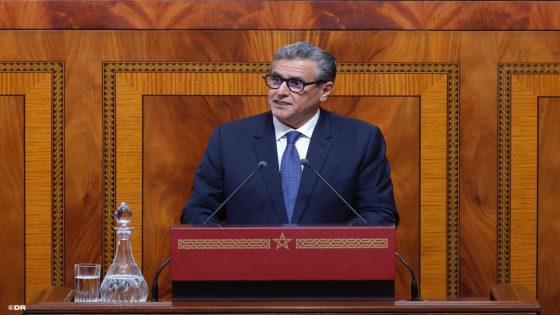 أخنوش : قرار مجلس الأمن بشأن الصحراء يرسخ الاعتراف الأممي بمكانة المغرب كقوة إقليمية ودولية بقيادة جلالة الملك