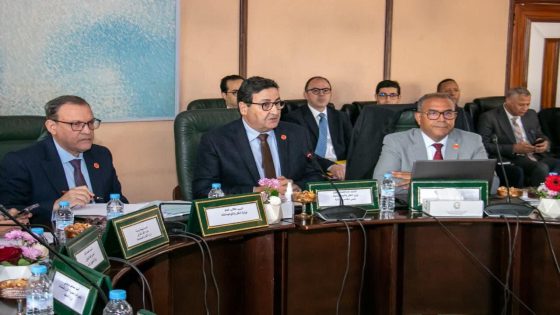 عبدالصمد قيوح وزير النقل واللوجيستيك يترأس أشغال الدورة الخامسة عشرة للمجلس الإداري للوكالة الوطنية للسلامة الطرقية،