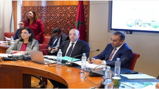 الوزير البواري : 352 ألف مربي يستفيدون من دعم المواشي… و90% منهم صغار الفلاحين