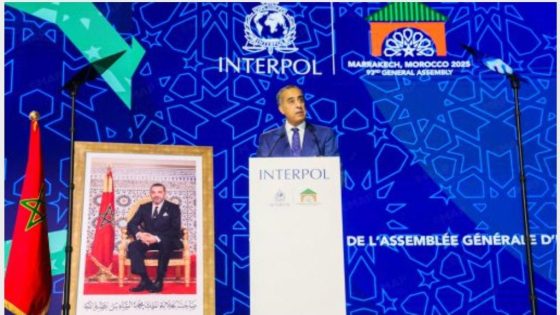 حموشي : حرص المغرب على احتضان الدورة 93 للأنتربول نابع من التزامه الراسخ بتعزيز التعاون الأمني متعدد الأطراف