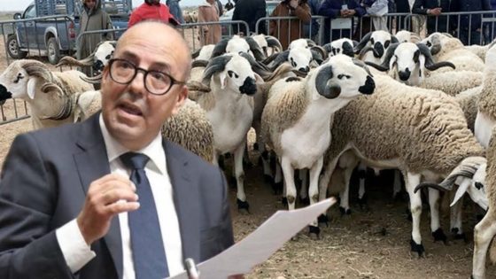 بايتاس : 580 ألف مستفيد من الدعم المباشر لمربي الماشية إلى حدود اليوم بما يناهز 2,42 مليار درهم