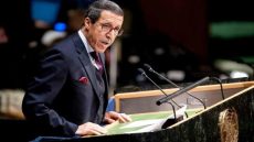 الأمم المتحدة.. السيد هلال يترأس المؤتمر السادس لإنشاء منطقة خالية من الأسلحة النووية وباقي أسلحة الدمار الشامل في الشرق الأوسط