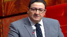 الوزير قيوح : المغرب على أتم الاستعداد لتفعيل الشراكات العربية البينية