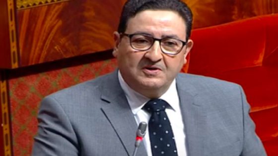 الوزير قيوح : المغرب على أتم الاستعداد لتفعيل الشراكات العربية البينية