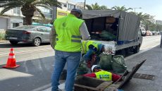 تدخلات ميدانية مكثفة للشركة الجهوية متعددة الخدمات سوس ماسة