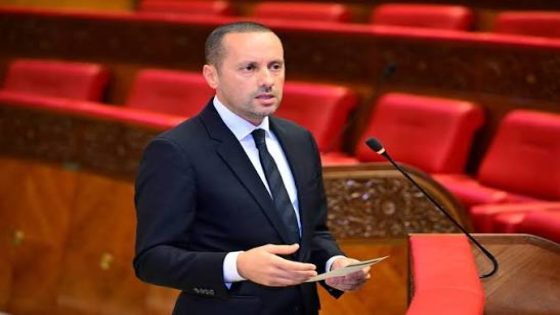 التهراوي : نموذج المجموعات الصحية الترابية سجل مؤشرات إيجابية على العديد من المستويات