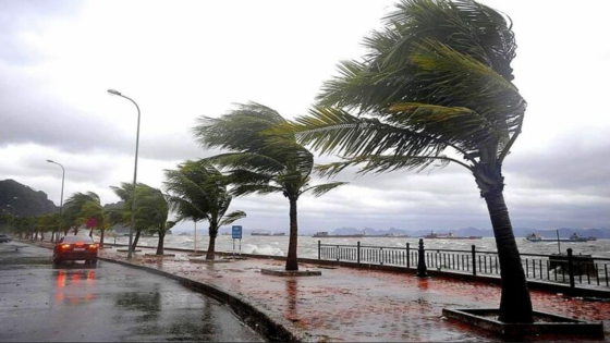 وزارة النقل واللوجستيك تهيب بالحذر على الطرق والتقيد بقواعد السير بسبب التقلبات الجوية