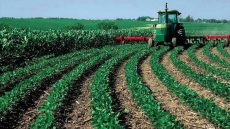 التساقطات المطرية المهمة تنعش آمال الفلاحين بموسم فلاحي جيد بجهة الرباط سلا القنيطرة