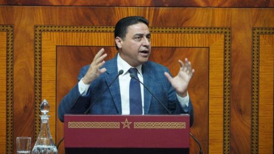 حجيرة: الميزان التجاري.. ارتفاع الواردات أمر طبيعي يعكس دينامية الاستثمار بالمملكة