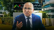 المكتب الوطني للاستشارة الفلاحية بشيشاوة : دينامية ميدانية، استراتيجيات مبتكرة، وأثر ملموس على الفلاحين بالإقليم.