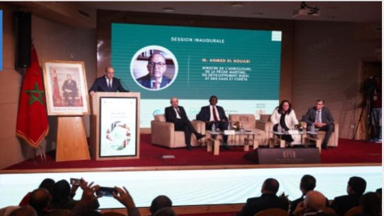 الوزير البواري يدعو إلى مقاربة شمولية تربط بين تدبير الموارد والاستثمار وإحداث فرص مستدامة