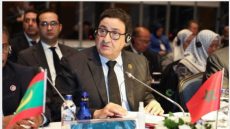 الوزير قيوح :المغرب يعتبر التعاون مع الدول الإسلامية في قطاعي النقل واللوجستيك خيارا استراتيجيا