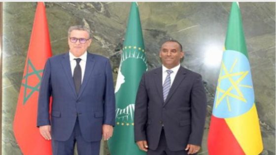 أخنوش يحل بأديس أبابا لتمثيل جلالة الملك في القمة الـ39 للاتحاد الإفريقي