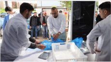 مبادرة “الحوت بثمن معقول”.. إطلاق نقطة لبيع الأسماك المجمدة في سلا الجديدة