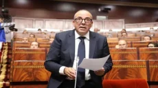 البواري: الاضطرابات المناخية والوساطة وراء ارتفاع أسعار الخضر واللحوم