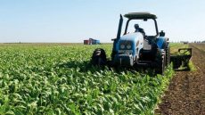 أمطار الخير تنعش الآمال بموسم فلاحي واعد في المغرب