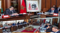 الوزير قيوح يترأس أشغال المجلس الإداري للشركة الوطنية للنقل والوسائل اللوجيستيكية
