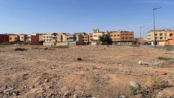لفتيت يشدد الرقابة على تطبيق رسم الأراضي العارية