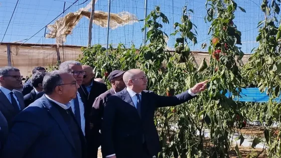 الوزير البواري يتفقد الأضرار الناجمة عن الرياح العاصفية بضيعات اشتوكة آيت باها