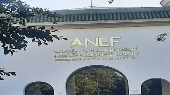 افتتاح موسم الصيد بالمياه البرية 2026-2027 غدا الأحد