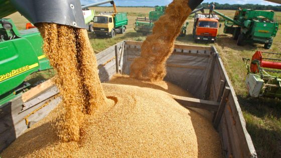 موسم فلاحي واعد يدفع المغرب لتعليق واردات القمح مؤقتا