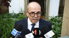 الوزير البواري يبرز “الأهمية الاستراتيجية” للإنتاج الحيواني في السياسة الفلاحية للمملكة