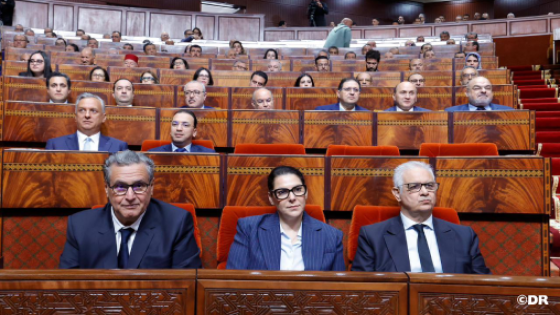 القيادة الملكية الرشيدة رسخت مفهوما تنمويا قائما على التوازن بين القوة الاقتصادية ومتطلبات العدالة الاجتماعية